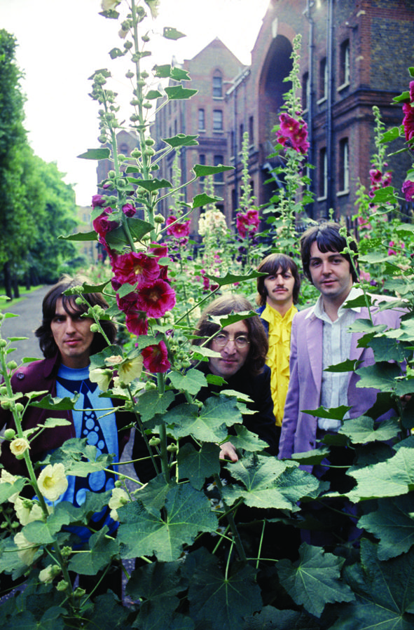 beatles-white-album 4.jpg