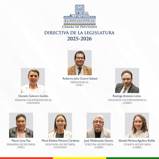 directiva_diputados_completa.jpg