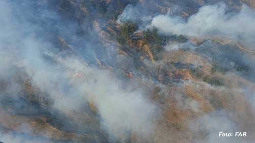 incendio-fab.jpg