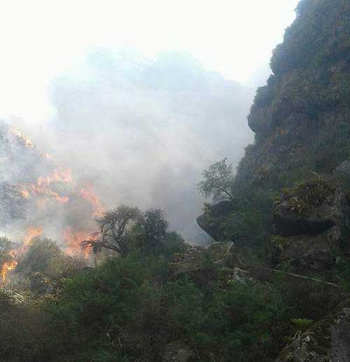 incendio-tarija.jpg