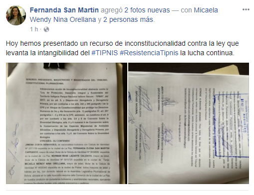 inconsticionalidad tipnis fernanda san martin.png