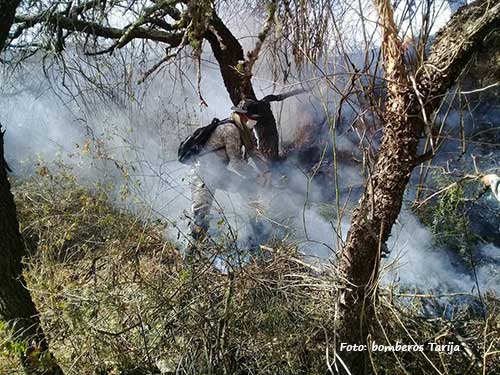 trabajo-bomberos-tarija.jpg